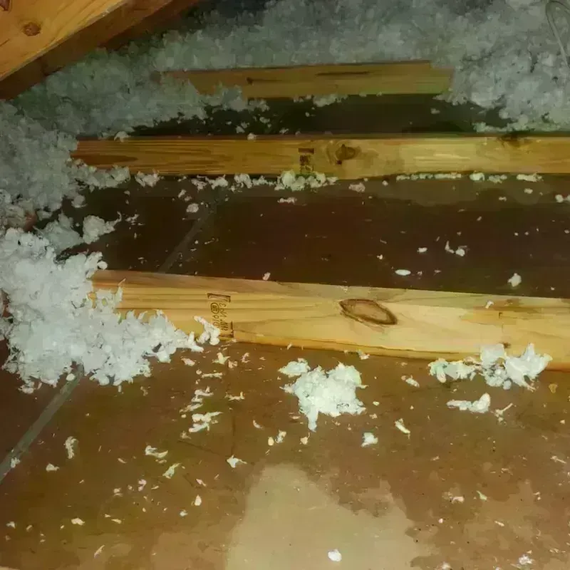 Attic Water Damage in Gunnison County, CO