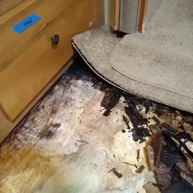 Wood Floor Water Damage in Gunnison County, CO